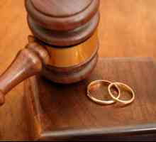 Cerere de divorț: o mostră