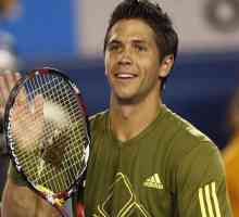 Jucătorul spaniol de tenis de către numele de familie Verdasco Fernando - turneul principal ATP…