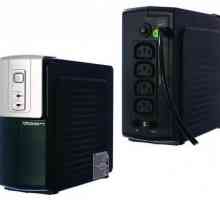 IPPON Back Office 400 Uninterruptible Power Supply: Caracteristici, Prezentare generală