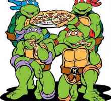 Istoria turtle-ninja. Caricaturi, jocuri, filme, desene animate și jucării turtle-ninja