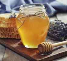 Istoria mierei: fapte interesante și prima mențiune despre miere