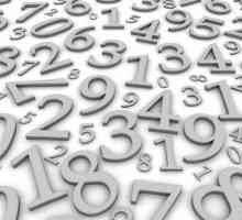 Istoricul dezvoltării numărului. Dezvoltarea conceptului de număr