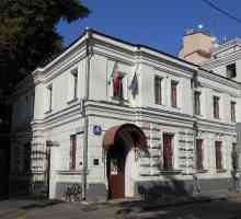 Итальянский институт культуры в Москве. Миссия и возможности
