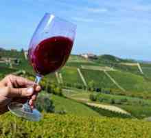 Vin roșu italian roșu "Barbaresco": recenzii