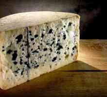 Ce fel de lapte vine brânza Roquefort - tehnologie și caracteristici de producție