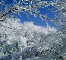 Frost este un fenomen uimitor