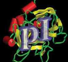 Punctul izoelectric al proteinei și definiția acesteia. Ce determină punctul izoelectric al…