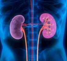 Isostenuria este un semn al bolii renale: cauze și consecințe