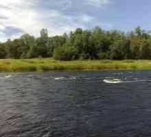 Studiem râurile din regiunea Leningrad: Narva, Luga, Dolgaya, Svir, Okhta