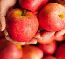 Dieta cu mere: recenzii și rezultate de fotografie subțire