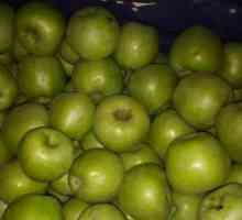 Miere de mere: descriere, varietate, îngrijire și cultivare