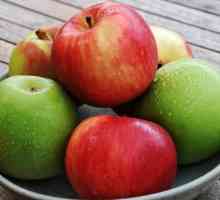 Apple: conținut caloric la 100 de grame. Conținutul caloric al merelor, beneficiile lor și valoarea…