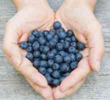 Berry afine: proprietăți utile și contraindicații