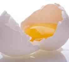 Ouă de proteine: pentru ce este?