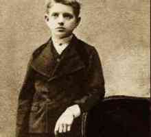 Jan Sibelius: biografie, lucrări. Câte simfonii a scris compozitorul?
