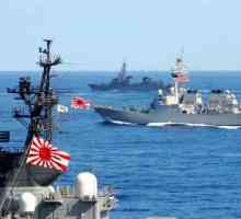 Japonia, Marina: informații generale