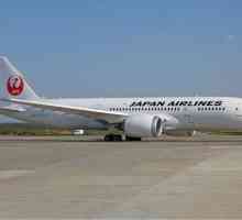 Japanese Airlines: descriere, recenzii