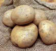 Varnalizarea cartofilor înainte de plantarea în sol