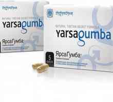 `Yarsagumba Forte `: recenzii ale medicilor