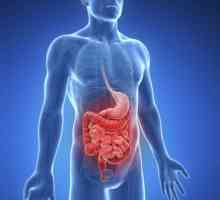 Ulcer duodenal: simptome, tratament, prevenire