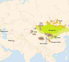 Mongolă: caracteristică, trăsături, cuvinte