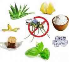 Tratamentul eficient al mușcăturilor de țânțari: evidențiază