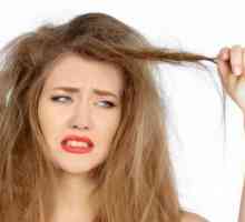Remediu eficient pentru părul uscat: o recenzie, cele mai bune rețete și recenzii
