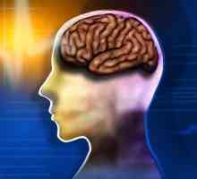 Medicamente eficiente pentru îmbunătățirea funcției creierului și a memoriei
