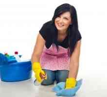 Mijloace eficiente pentru curățarea covoarelor la domiciliu