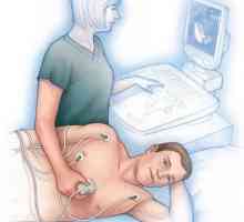 Echocardiografia - ce este? Indicare pentru numire, descrierea procedurii, indicatori