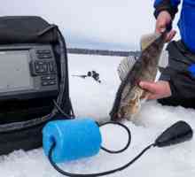 Echo soner pentru pescuitul de iarnă: caracteristici, tipuri