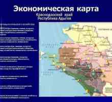 Economia regiunii Krasnodar: principalele sfere