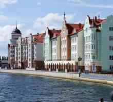 Excursii în Kaliningrad și în regiune