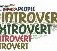 Extroversiunea este ... Bazele psihologiei. Scară de introversiune, extraversiune