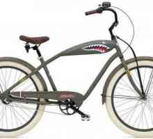 `Elektra` (biciclete) - caracteristici ale transportului