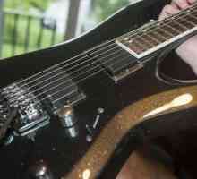 Electric Guitar Cort: opinii, modele, specificatii si recenzii