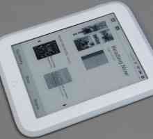 E-book PocketBook 614: recenzii