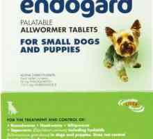 `Endogard` pentru câini: instrucțiuni, proprietăți și doze