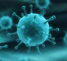 Infecția cu enterovirus: căi de transmisie, simptome, diagnostic și tratament
