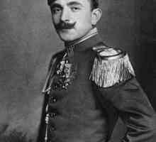 Enver Pasha: Biografie