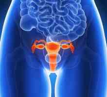 Eroziunea colului uterin în timpul sarcinii: simptome, metode de tratament, consecințe