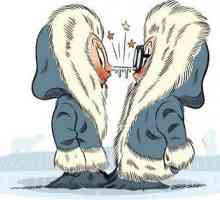 Eskimo Kiss: trăsături de execuție. Esența tradiției și originea ei