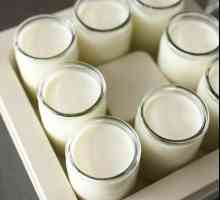Yogurtnitsa: rețete. Cum să gătesc iaurt în iaurt: rețete