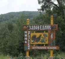 Rezervația Urală de Sud (fotografie)