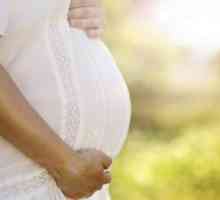 Ce visă sora însărcinată? Interpretarea somnului
