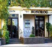 Cafe `Rhinoceros` Volgograd: adresa și recenzii