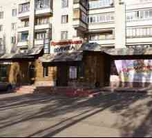 Cafe `Aventurile lui Shurik` (Samara, str. Partizanskaya, 82): meniu, recenzii