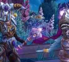 Cum se joacă World of Warcraft gratuit: plăți de aur și servere piratate