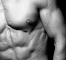 Cât de repede se obține masa musculară