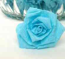Cum se face un trandafir dintr-o hârtie pentru un cadou?